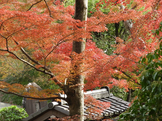 DSCN0098
