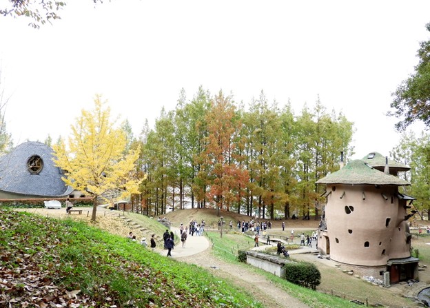 DSCN0305