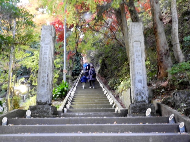 DSCN0021