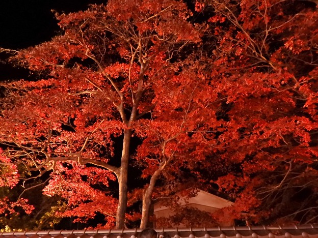 DSCN0128
