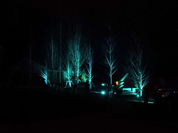 DSCN0028