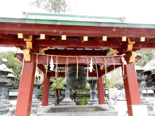 DSCN0273