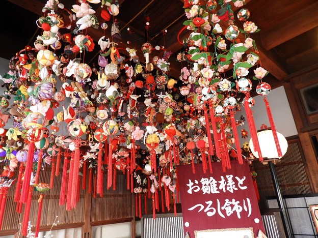 DSCN0286