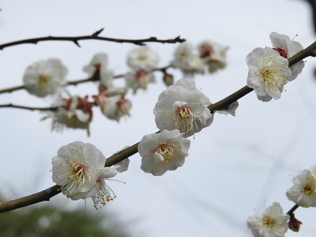 DSCN0041