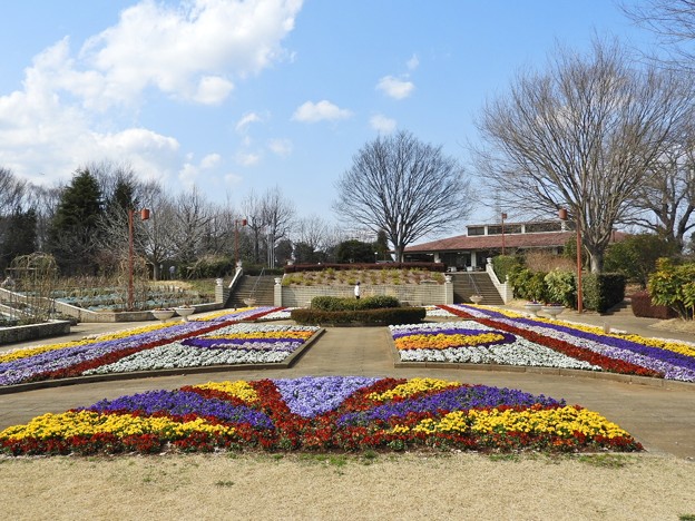 DSCN0243