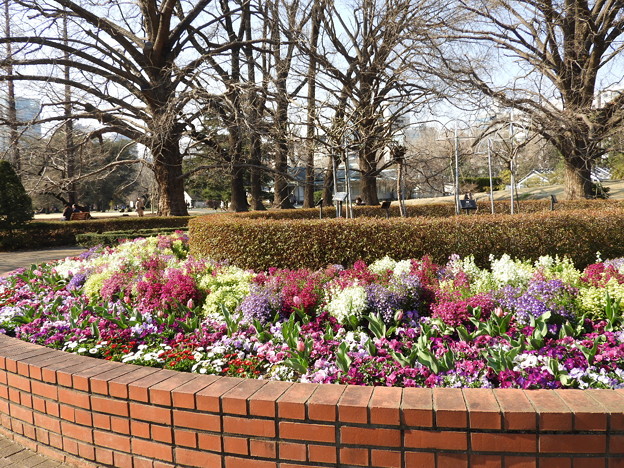 DSCN0417