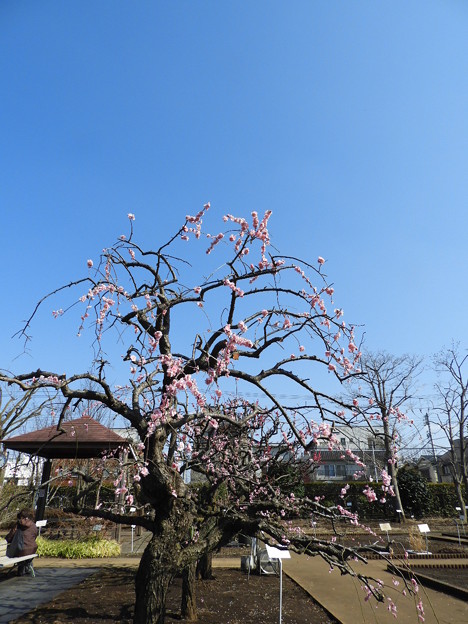 DSCN0194