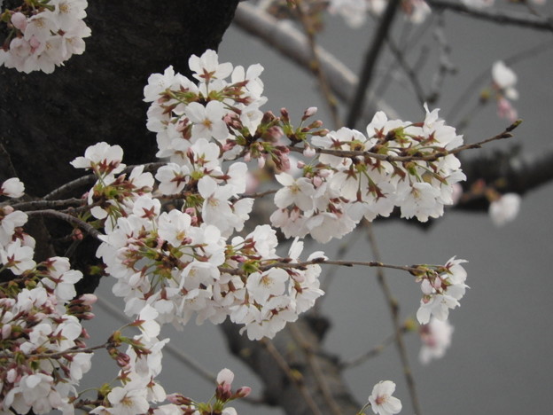 DSCN0050