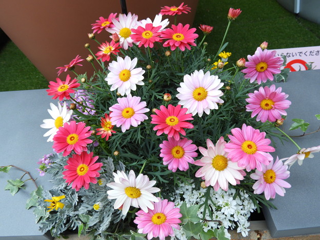 DSCN0097