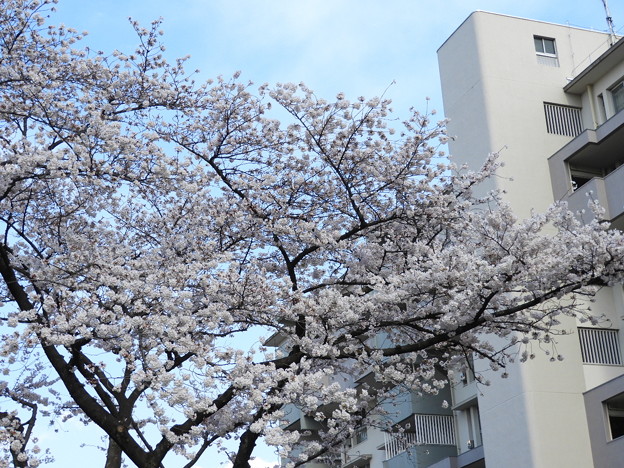 DSCN0212