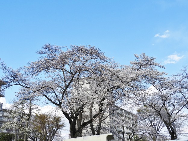 DSCN0225
