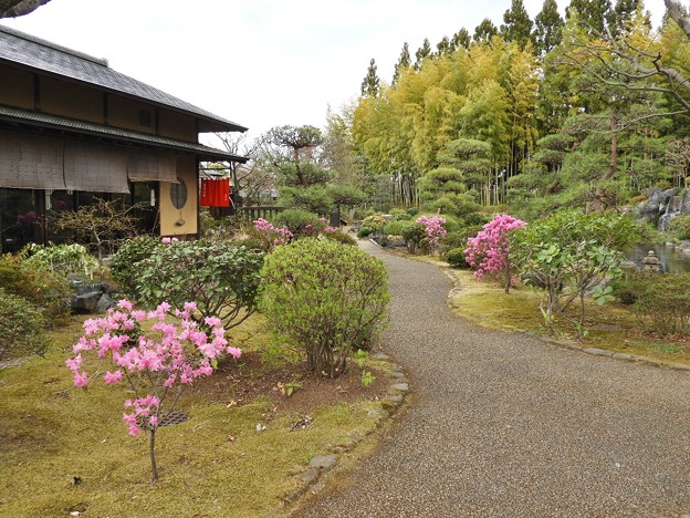 DSCN0142