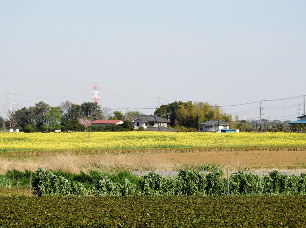 DSCN0570