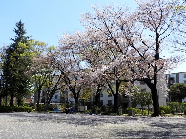 DSCN0130