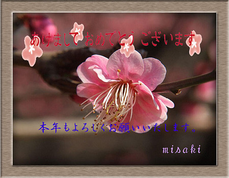 年賀24