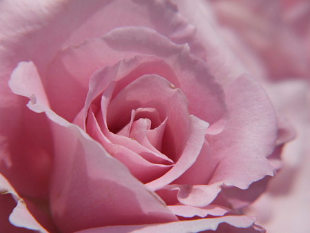 2008_05270030