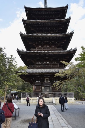 20180408 ブログ仁和寺6