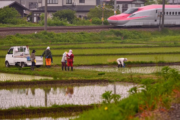 見守る
