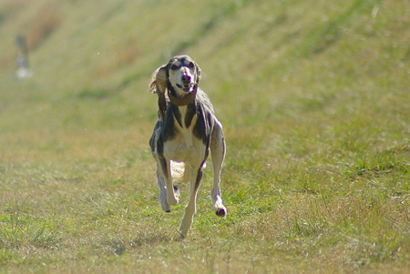 1024IMGP0984