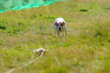 1024IMGP0711