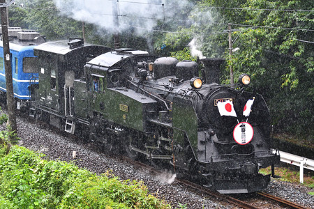 C11 207