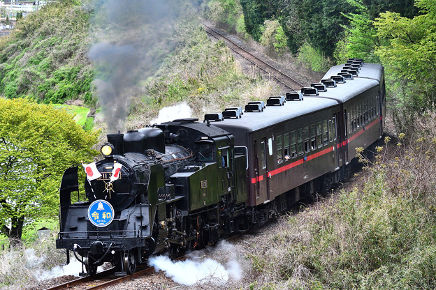 Photos: C11 325牽引SLもおか号令和HM日章旗付