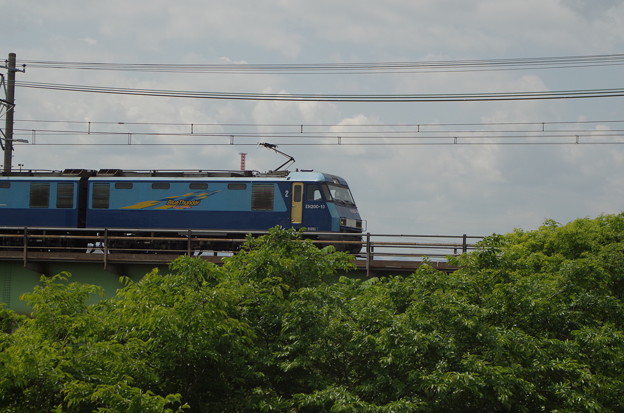 IMGP8158_re