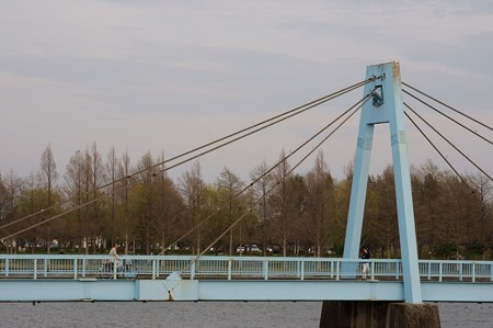 水元大橋