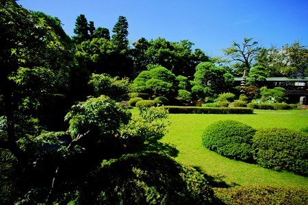 柴又帝釈天 邃渓園 庭園編