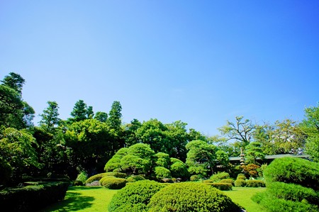 柴又帝釈天 邃渓園 庭園編