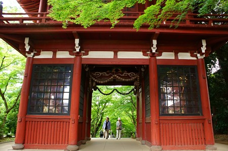 本土寺 仁王門