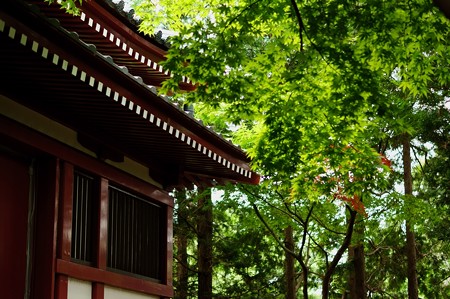 本土寺 五重塔