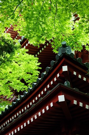 本土寺 五重塔
