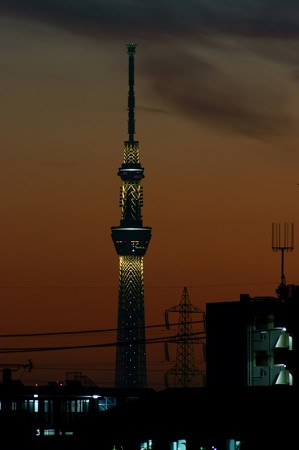 300mmスカイツリー「雅」