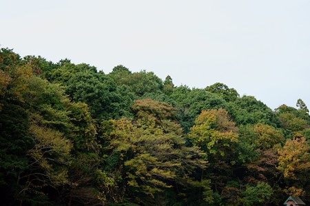 大町自然観察園