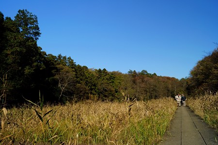 大町自然観察園