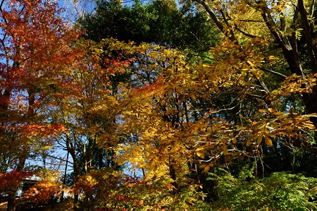大町自然観察園