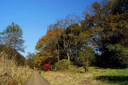 大町自然観察園