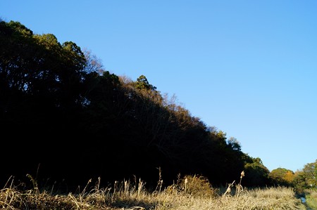 大町自然観察園