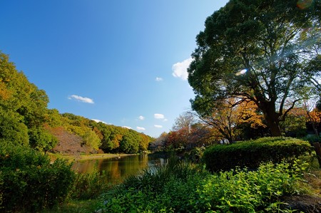 じゅんさい池緑地
