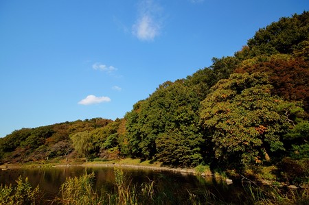 じゅんさい池緑地