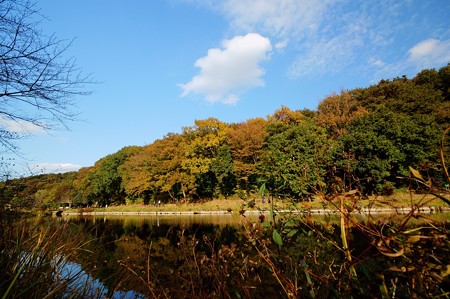 じゅんさい池緑地