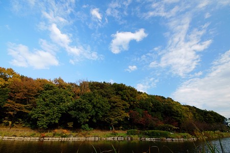 じゅんさい池緑地
