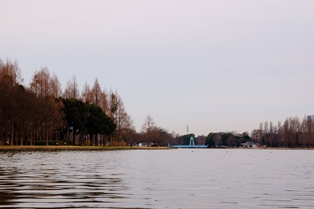水元公園