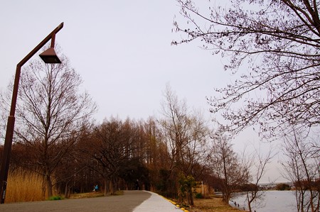 水元公園