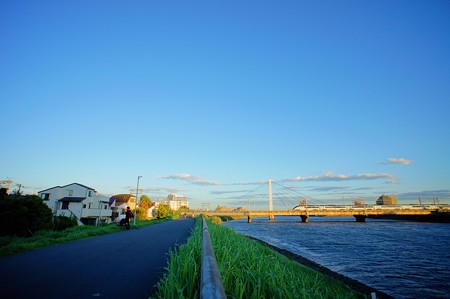 中川土手