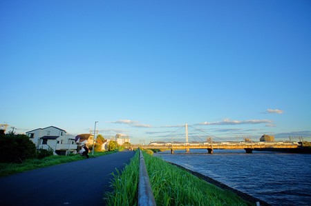 中川土手