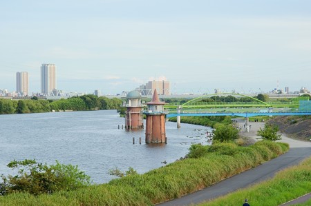 江戸川土手