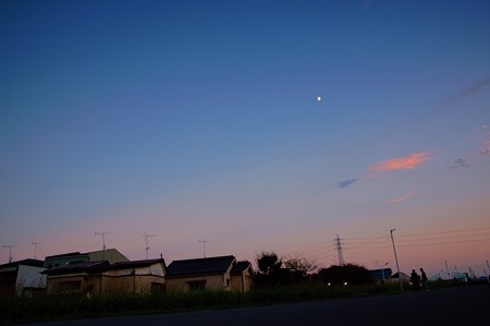 中川土手