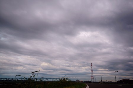 江戸川土手